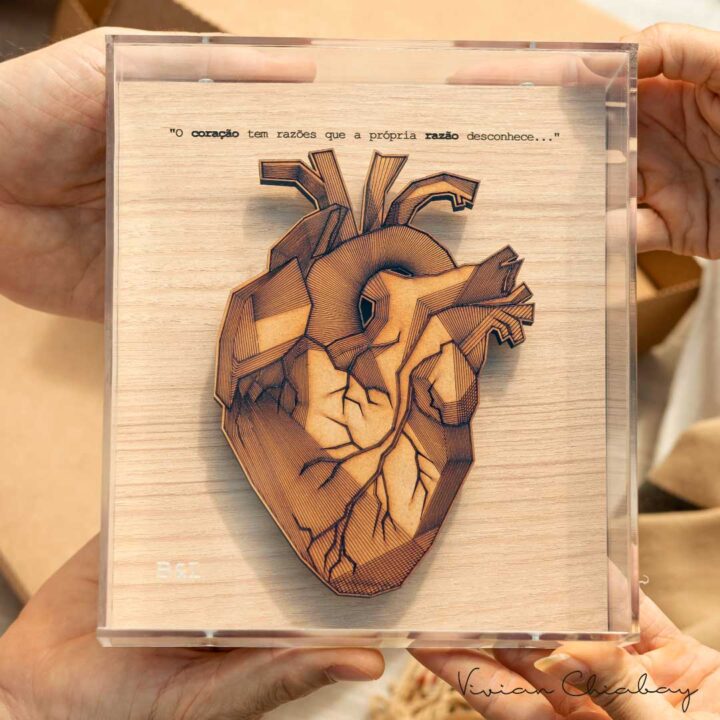 Quadrinho Coração Sem Razão