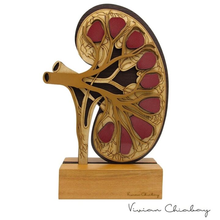 Troféu Rim Anatômico