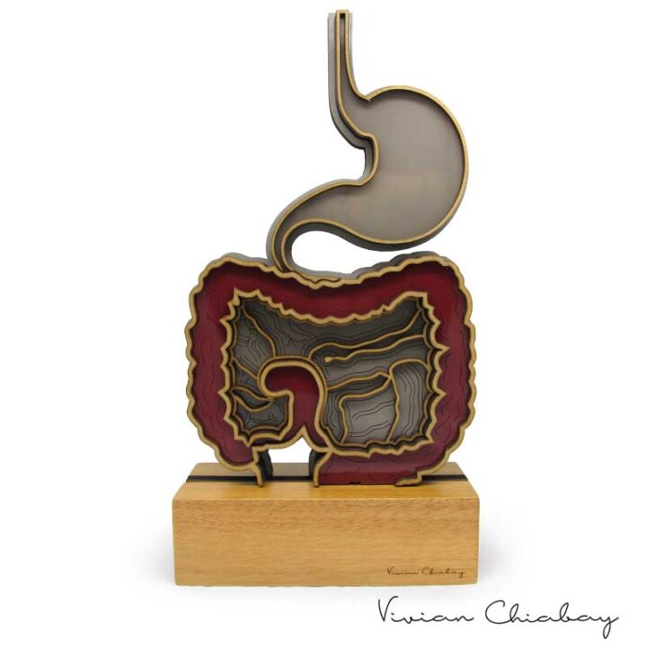 Troféu Intestino Anatômico