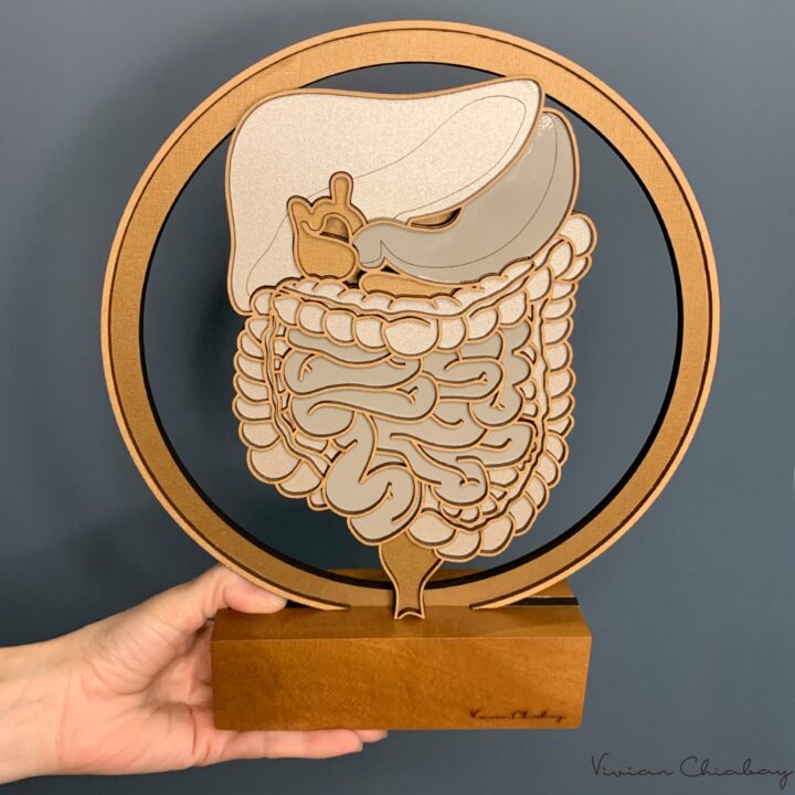 Troféu Sistema Digestivo